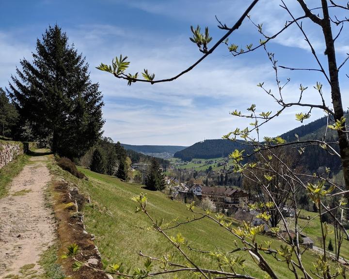 Blockhütte, Hotel Traube Tonbach